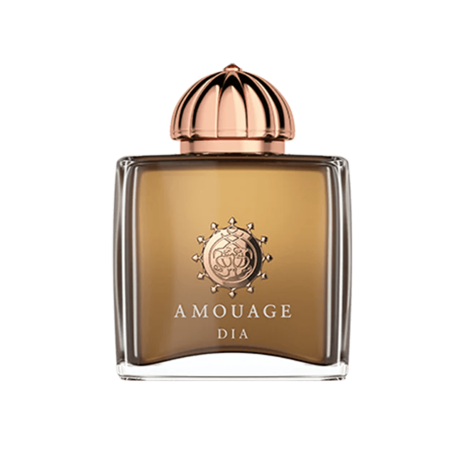 AMOUAGE DIA EDP FOR WOMEN - NOFP STUDIOS