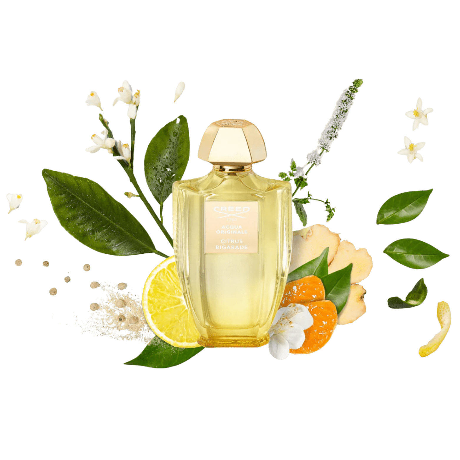 CREED CITRUS BIGARADE EDP FOR UNISEX 100ML - NOFP STUDIOS