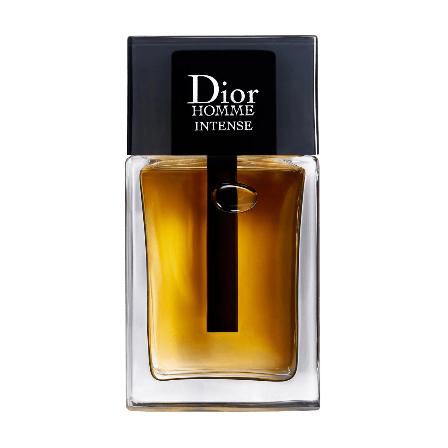 DIOR HOMME PARFUM FOR MEN 100ML - NOFP STUDIOS